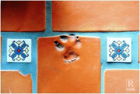 saltillo tile paw print